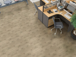 5OAKRAINIER Room Scene